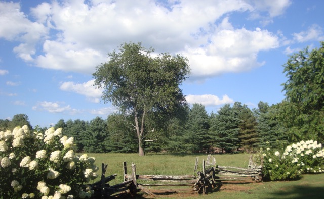 A  piece of North Georgia heaven at the Dillard House