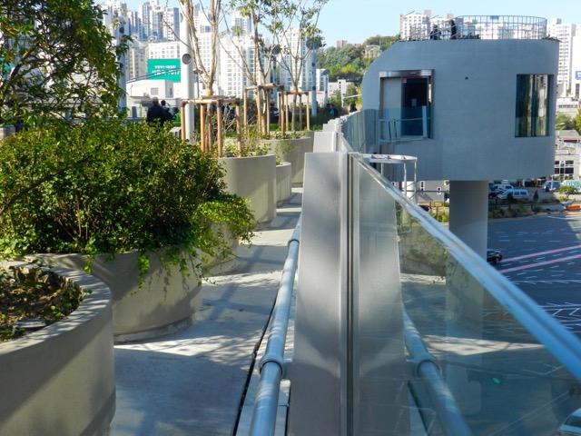 trees, plants and flowers on the walkway