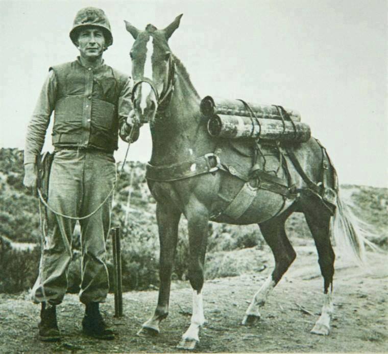 Sgt. Reckless with Fellow Marine