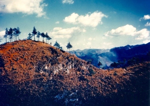 A contested hilltop in Korea, 1950 (Trumanlibrary.gov)