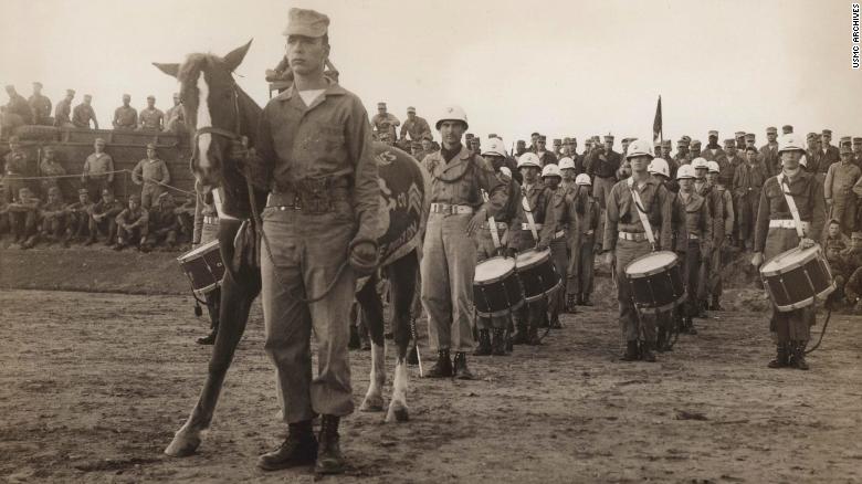Sgt. Reckless at ceremony before leaving Korea